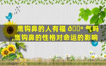 鹰钩鼻的人有福 🌺 气吗,鹰钩鼻的性格对命运的影响